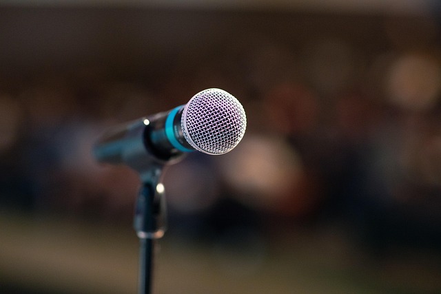 lograstudio public speaking 3926344 640.jpg
