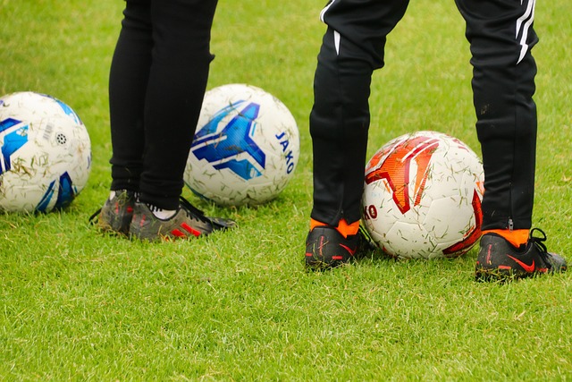 planet fox football 6290007 640.jpg